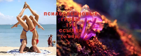 соль ск Приозерск