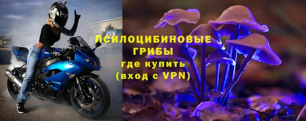 СК Балахна