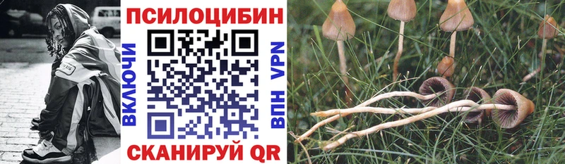 Галлюциногенные грибы мицелий Купить Бронницы